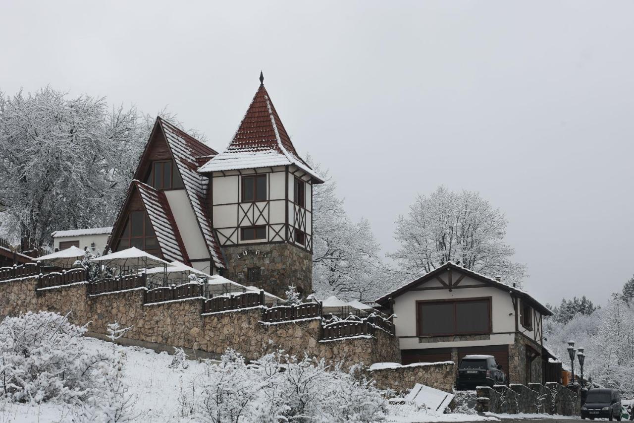 Alpine Castle Hotel 迪利然 外观 照片